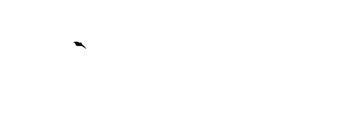 Avant-Garde Construction